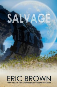 salvage-ebook-cover_600w
